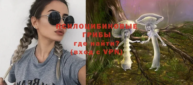 Псилоцибиновые грибы Psilocybine cubensis  сколько стоит  KRAKEN онион  Меленки 